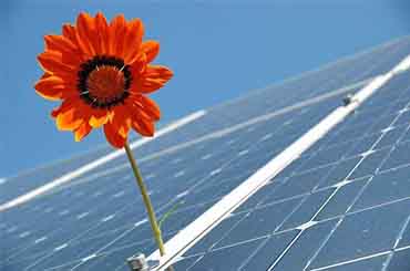 Nueva política de energía fotovoltaica de China en 31 de mayo.